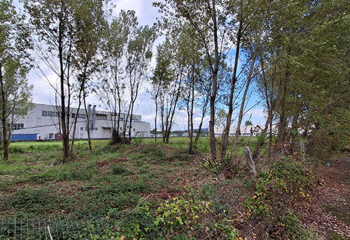 Località Ponte a Chiani,Via Giacomo Konz arezzo,Italy,Terreno,Località Ponte a Chiani,Via Giacomo Konz,2355